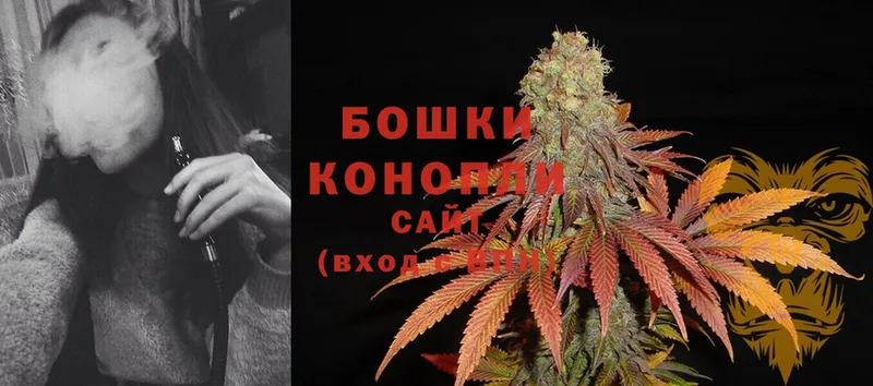 даркнет сайт  Таганрог  площадка формула  Бошки марихуана Ganja 